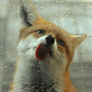 photography (Explicit)