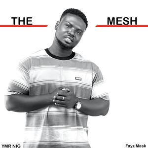 The Mesh