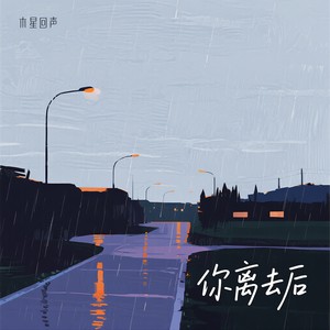 你离去后