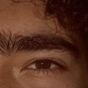 Amare Et Sapere Vix Deo Conceditur