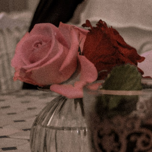 comme des filles