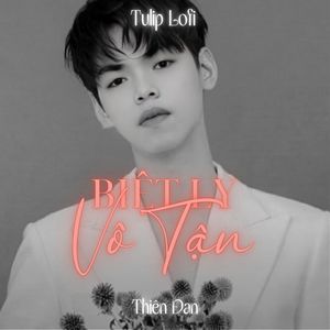 Biệt Ly Vô Tận (Lofi)