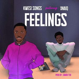 Feelings (feat. Xnaiq)