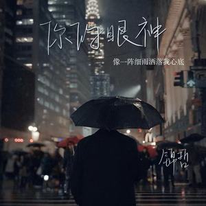 你的眼神(像一阵细雨洒落我心底)