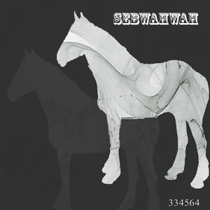 334564