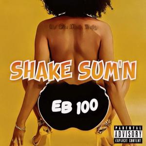 Shake Sum'n (Explicit)