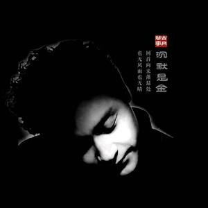 沉默是金 (二胡版)