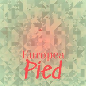 Europea Pied