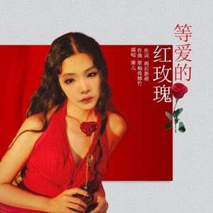 等爱的红玫瑰