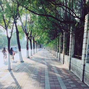 按时生长