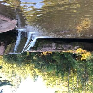 Two Door Miata(Bonus Track)(feat. Conner Negro & Jakob) (Explicit)