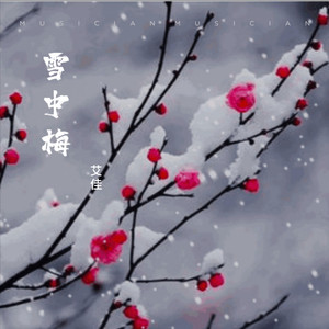 雪中梅一伴奏