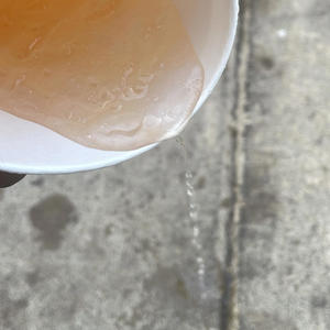 Grinch (feat. 37smxkkn, AniyahReshae & 37luhcho)