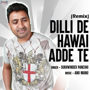 Dilli De Hawai Adde Te (Remix) - Single