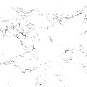 I'm Never Fallin' (Explicit)