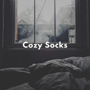 Cozy Socks (Inst.)