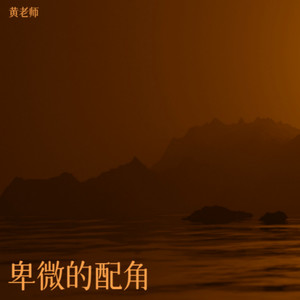 野心家-黄老师