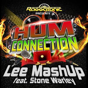Hum Connection (EDM Remix)