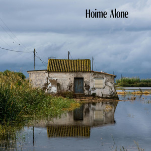 Hoime Alone