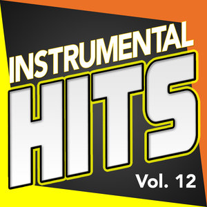 instrumental hits, vol. 12