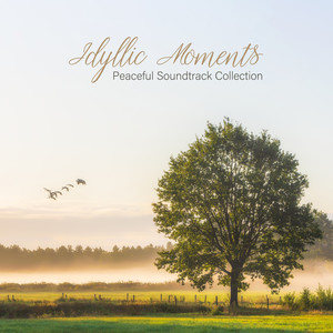 Idyllic Moments: Peaceful Soundtrack Collection