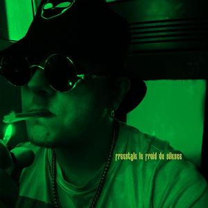 Freestyle Le froid du silence (Explicit)