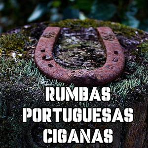 RUMBA PORTUGUESA CIGANA 2K25 (Dj DOLFINHO GIPSY)