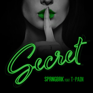 Secret (feat. T-Pain) [Explicit]