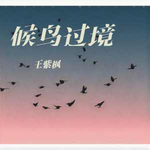 候鸟过境
