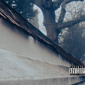 Motionsp2 (Explicit)