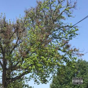 OUT MY WAY! (Explicit)