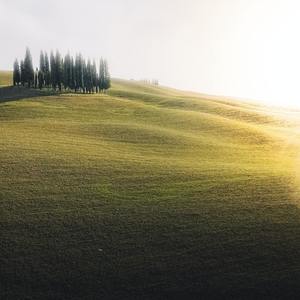 Sentarse Descansar Ruido Rosa