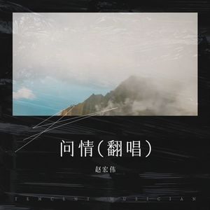 问情