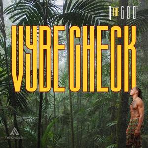 Vybe Check