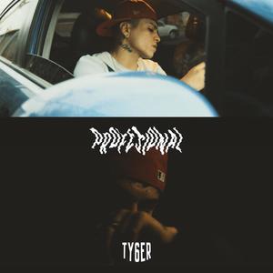 Profesional (feat. Bless On the track) (Special Version)