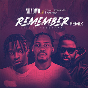 Remember (Remix)