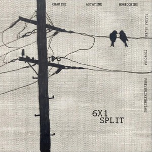 your wretched ignorance