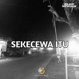 Sekecewa Itu (WG)