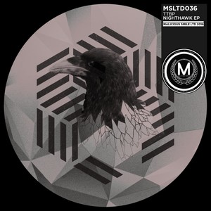 Nighthawk (Original Mix)