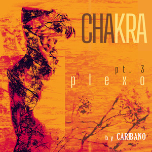 Chakra pt. 3 Plexo