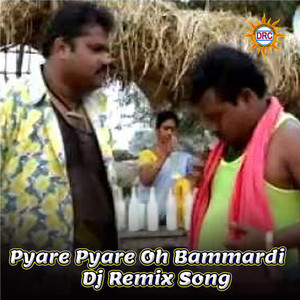 Pyare Pyare Oh Bammardi (Dj Remix Song)