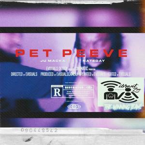 Pet Peeve (Explicit)