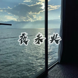 夜未央 (DJ萨克斯)