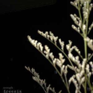 全部是demo