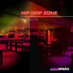 Hip Hop Zone Volume 10