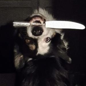 CAIXÃO FECHADO (Explicit)