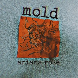 Mold