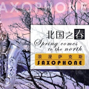 莫斯科郊外的晚上