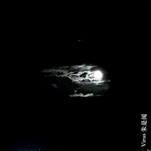 the night