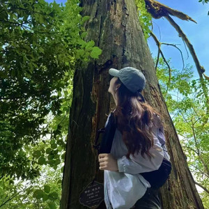 向云端 (口哨前奏版)